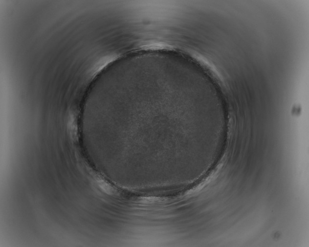 X0000101141305200807110933