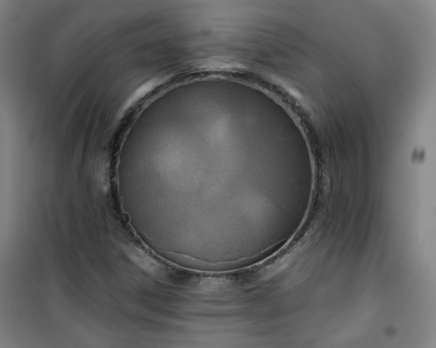 X0000101141306200807110933