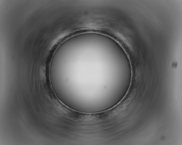 X0000101141307200807110933