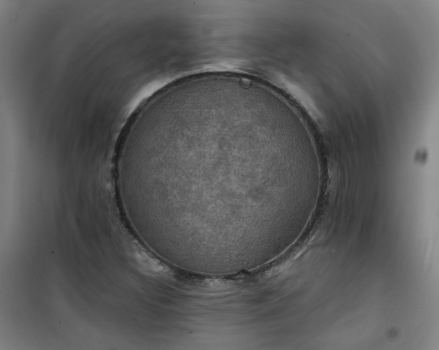 X0000101141308200807110933