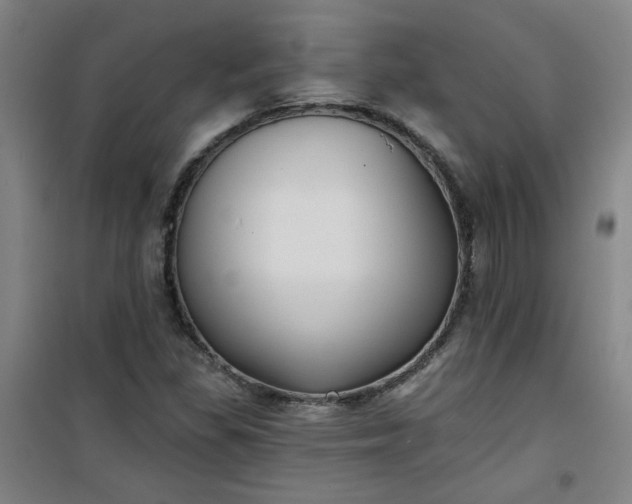 X0000101141309200807110933