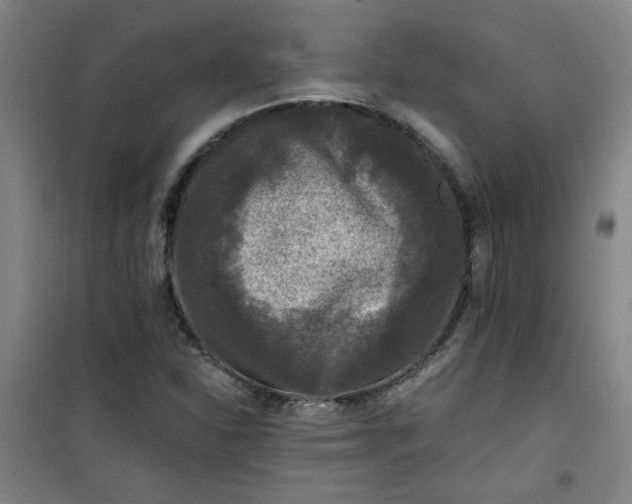 X0000101141310200807110933