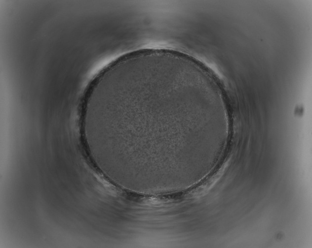 X0000101141311200807110933