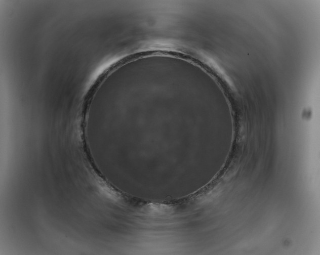 X0000101141312200807110933