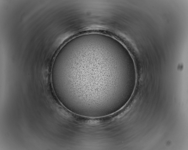 X0000101141313200807110933