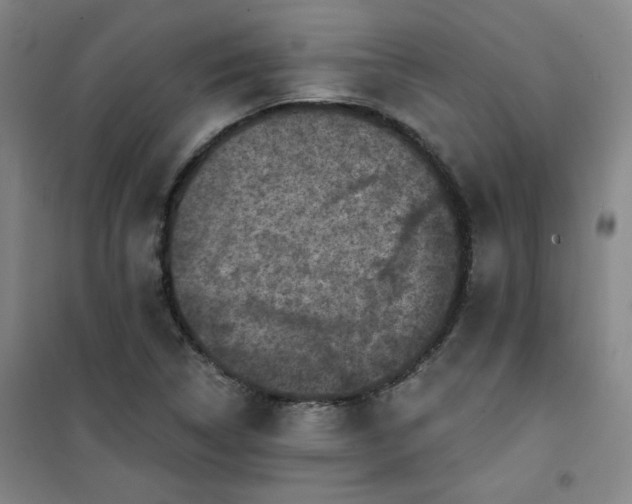 X0000101141314200807110933