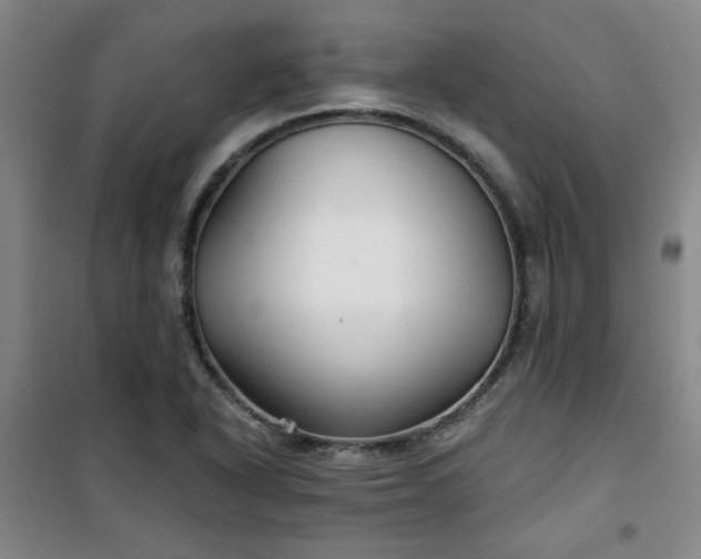 X0000101141318200807110933