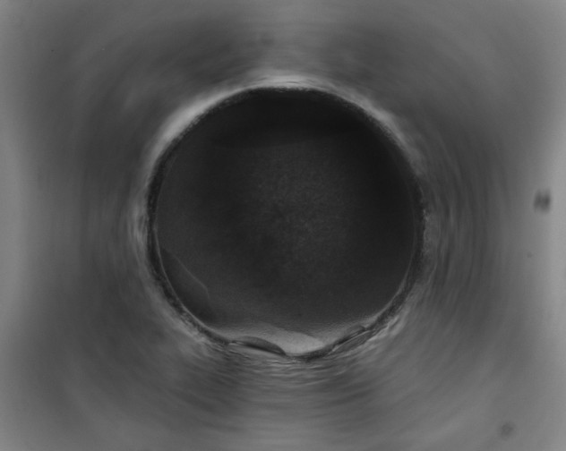 X0000101141319200807110933