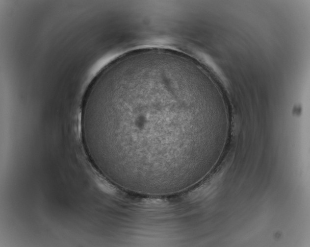 X0000101141320200807110933