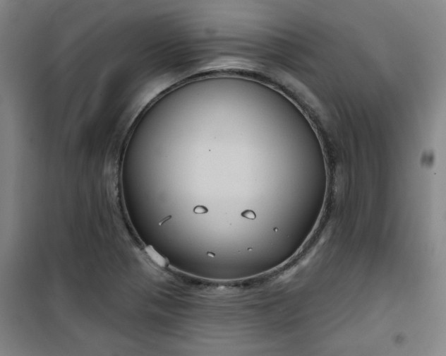 X0000101141321200807110933