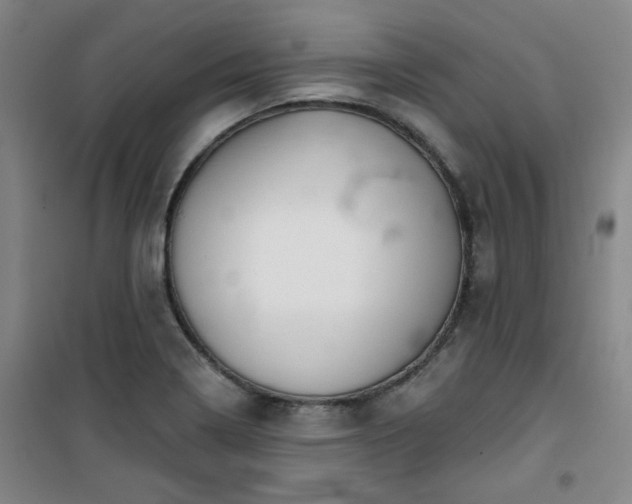 X0000101141322200807110933