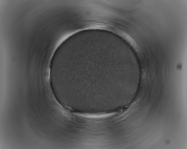 X0000101141324200807110933