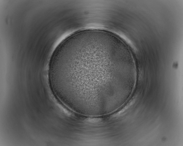 X0000101141325200807110933