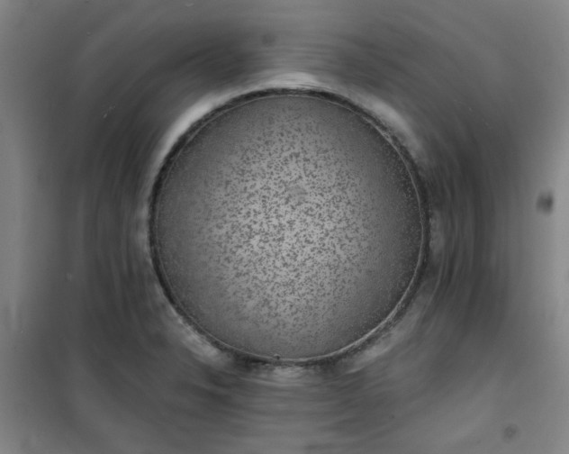 X0000101141326200807110933