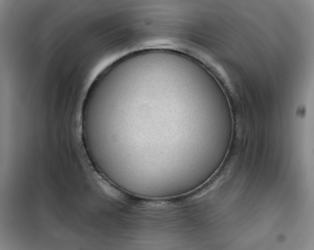 X0000101141328200807110933