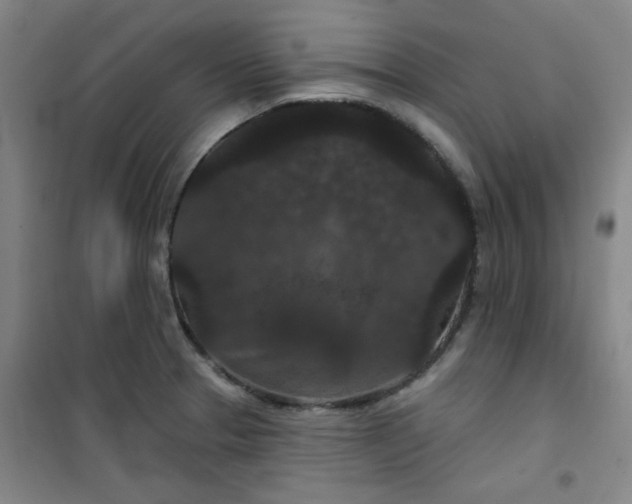 X0000101141329200807110933