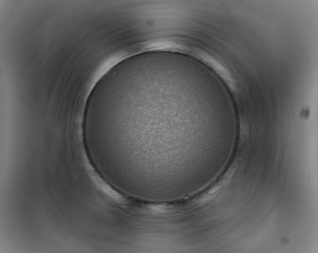 X0000101141330200807110933