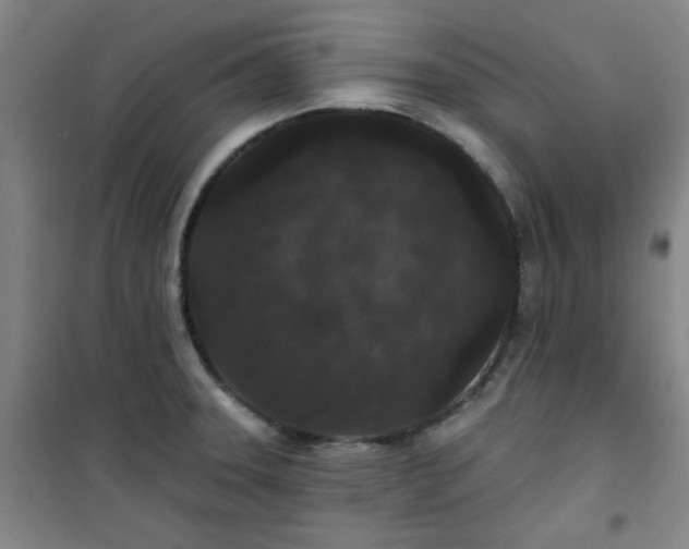 X0000101141331200807110933