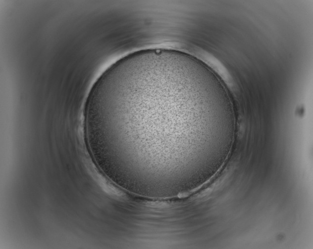 X0000101141332200807110933