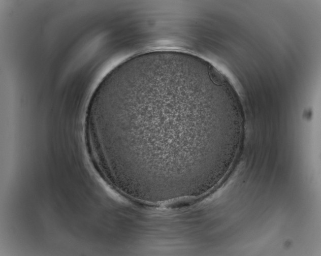 X0000101141333200807110934