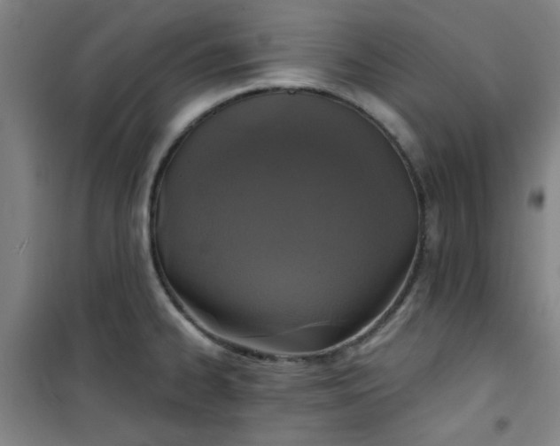 X0000101141334200807110934