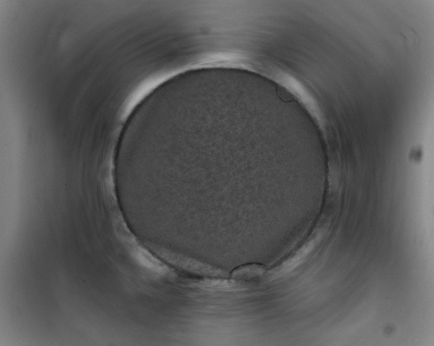 X0000101141336200807110934