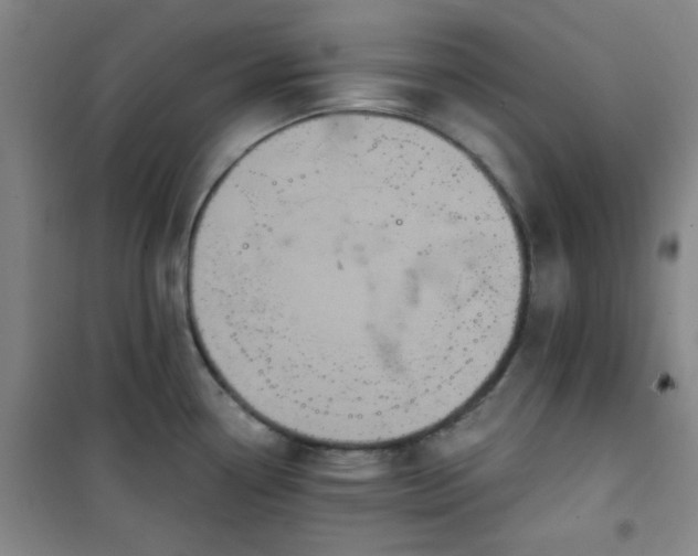 X0000101141338200807110934