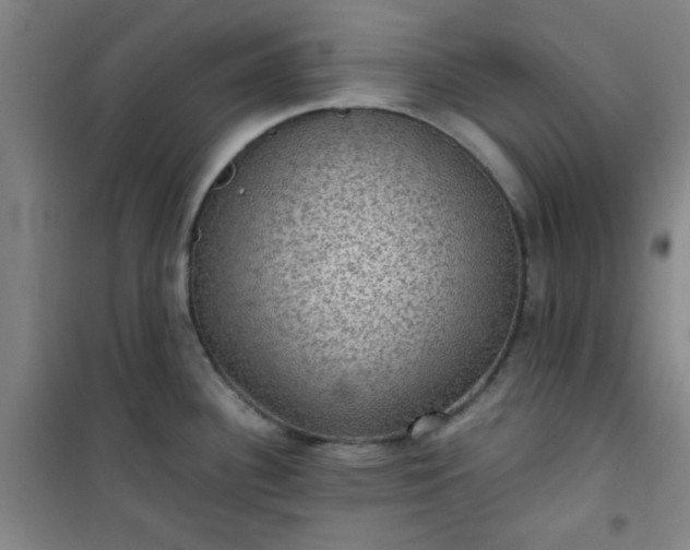 X0000101141340200807110934