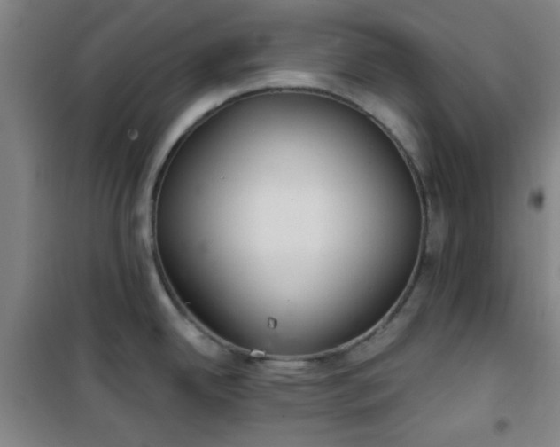 X0000101141342200807110934