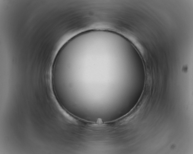 X0000101141343200807110934