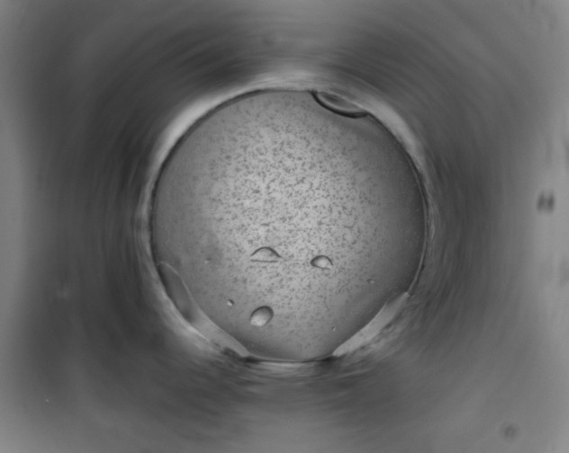 X0000101141344200807110934