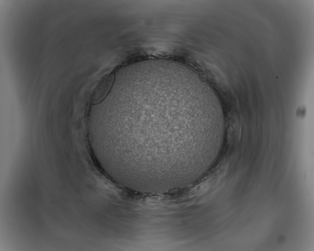 X0000101141345200807110933