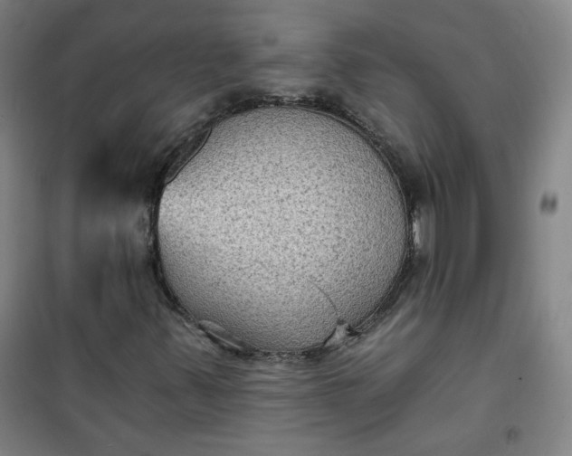 X0000101141347200807110933