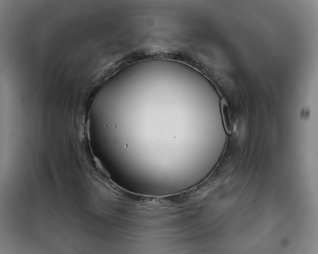 X0000101141348200807110933