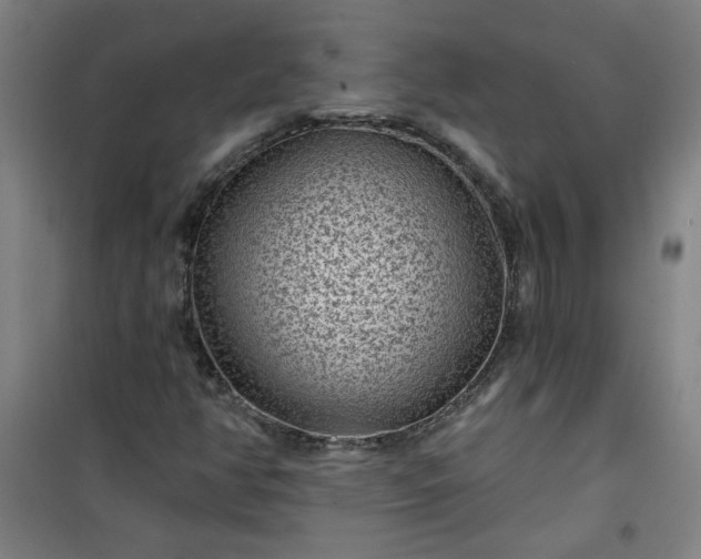 X0000101141350200807110933