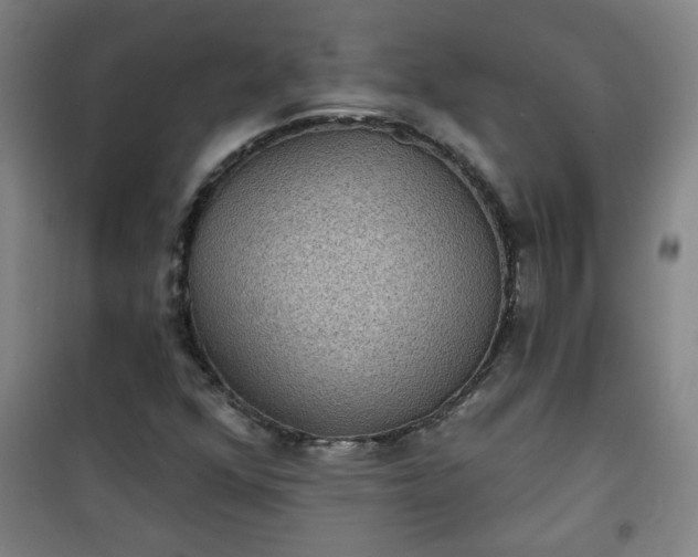 X0000101141352200807110933