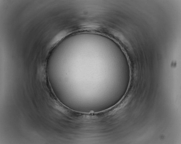 X0000101141354200807110933