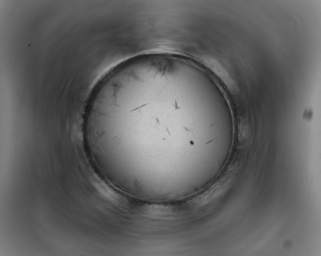 X0000101141356200807110933