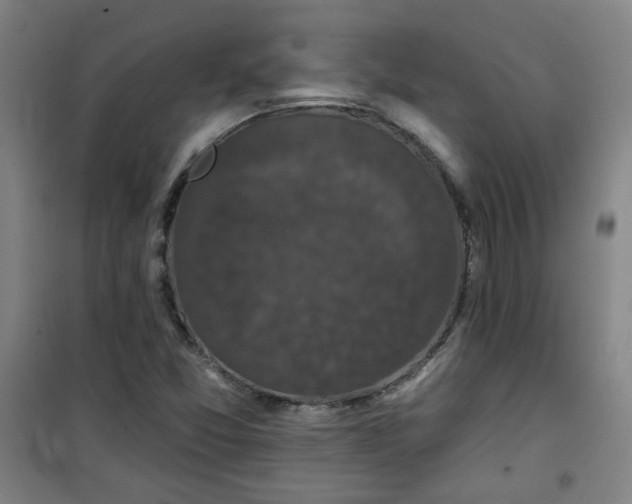 X0000101141357200807110933