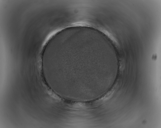 X0000101141358200807110933