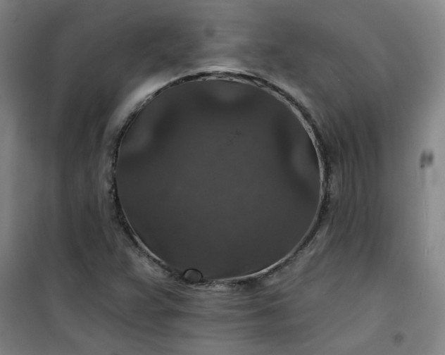 X0000101141359200807110933