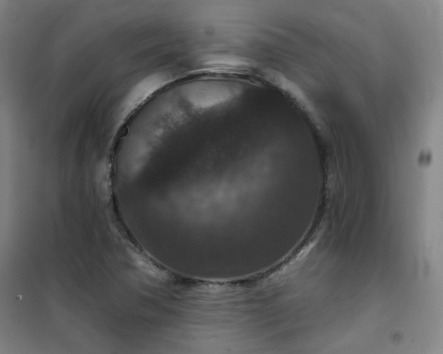 X0000101141362200807110933