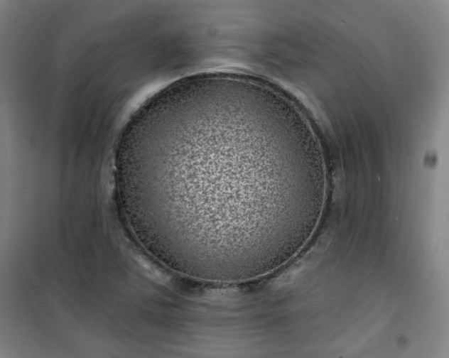 X0000101141363200807110933