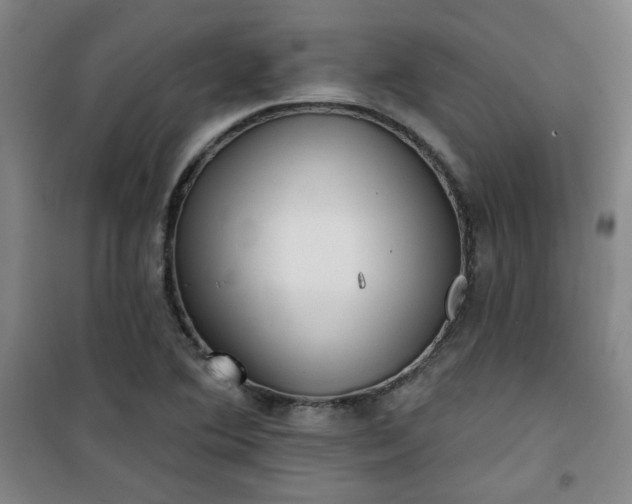 X0000101141364200807110933