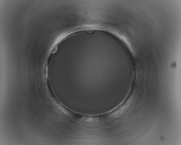 X0000101141365200807110933