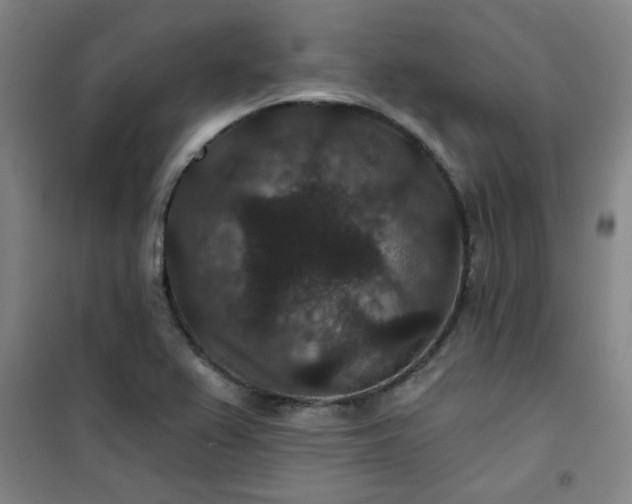 X0000101141367200807110933