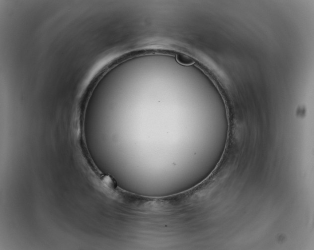 X0000101141368200807110933