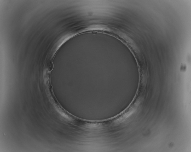 X0000101141369200807110932