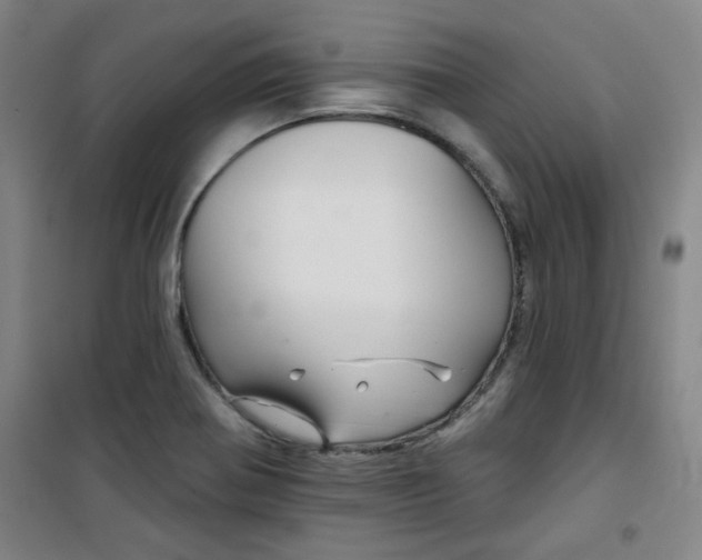 X0000101141370200807110932