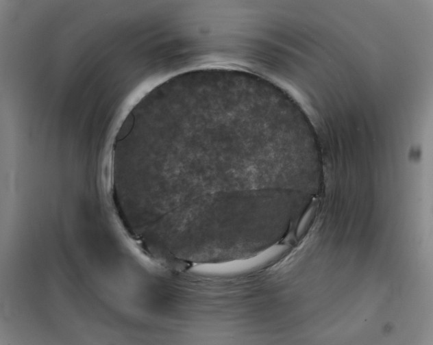 X0000101141371200807110932